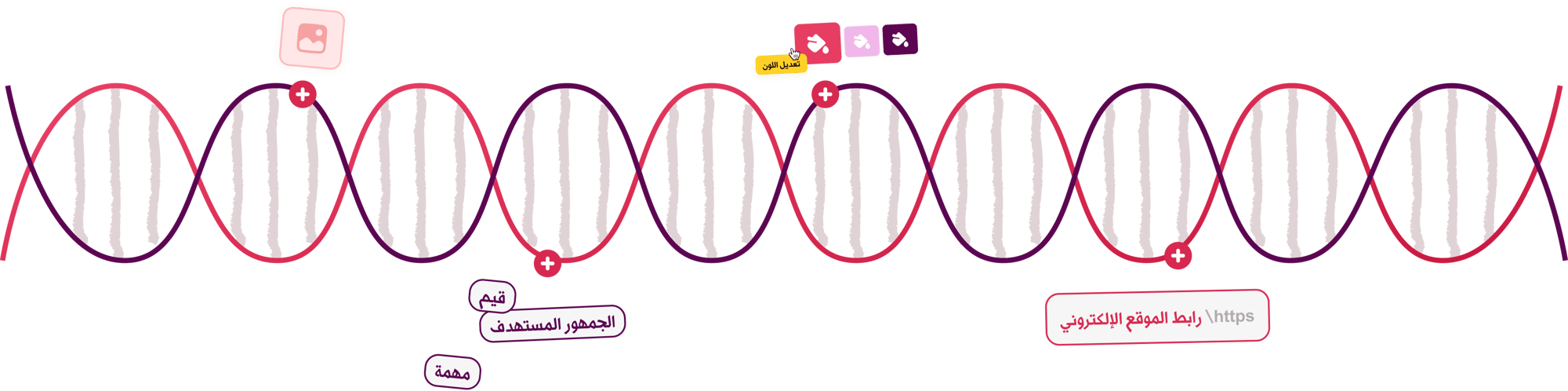 DNA with assets (Arabic)